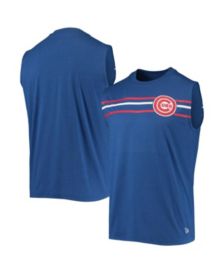 Men's Nike Royal/Silver Chicago Cubs City Plate Performance Henley