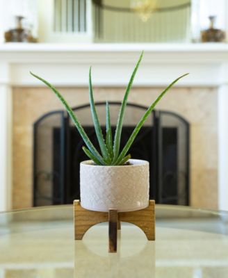 India Ceramic Planter on Wood Stand, 6.25"