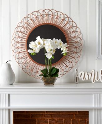 Triple Phalaenopsis Orchid in Glass Vase