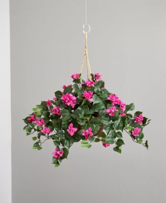 Bougainvillea Hanging Basket 
