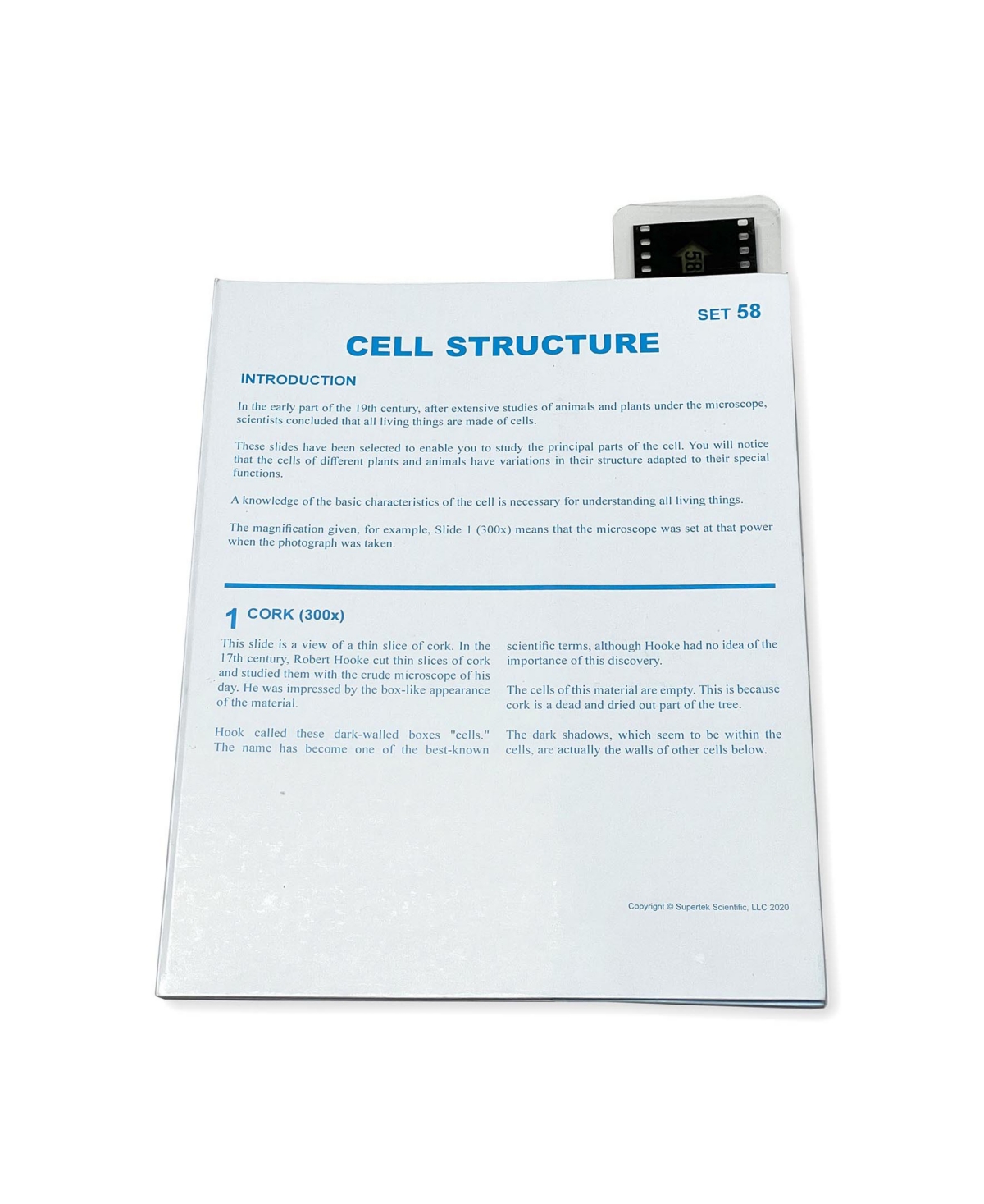 Supertek Microslide, Cell Structure In Black,blue,white ModeSens