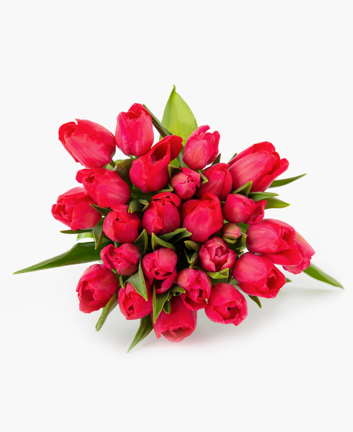 Radiant Red Tulips Fresh Flower Bouquet