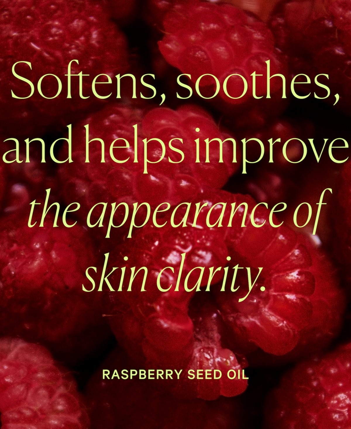 Well People Bio Tint Moisturizer Spf 30 - 3N