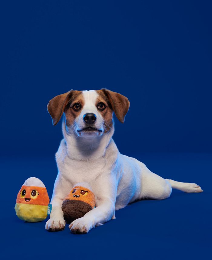 BarkBox 2Pk. Children of the Candy Corn Plush Dog Toys Macy's