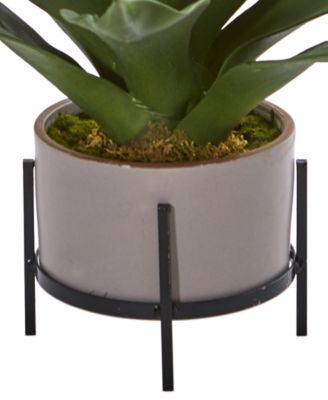 14" Agave Succulent in Decorative Planter