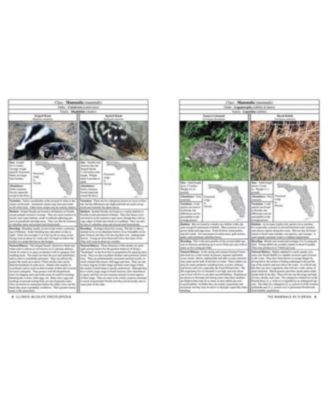 Florida Wildlife Encyclopedia - An Illustrated Guide to Birds, Fish, Mammals, Reptiles, and Amphibians by Scott Shupe