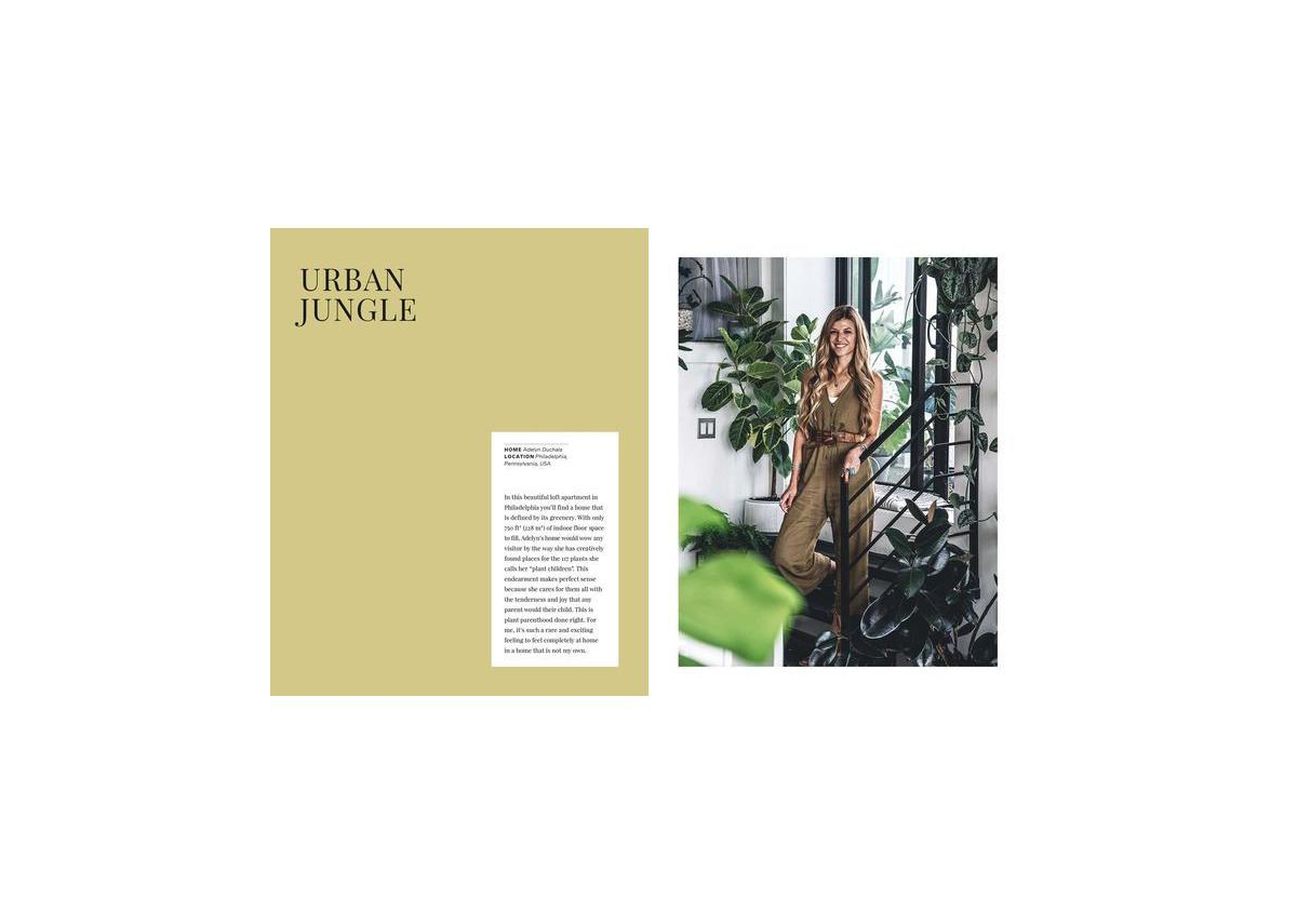 Wild Interiors - Beautiful Plants in Beautiful Spaces by Hilton Carter