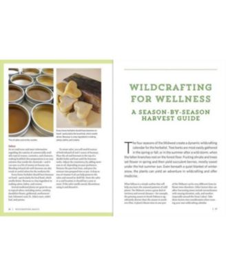 Midwest Medicinal Plants: Identify, Harvest, and Use 109 Wild Herbs for Health and Wellness by Lisa M. Rose