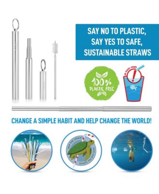 Collapsible Straw with Case and Cleaning Tool