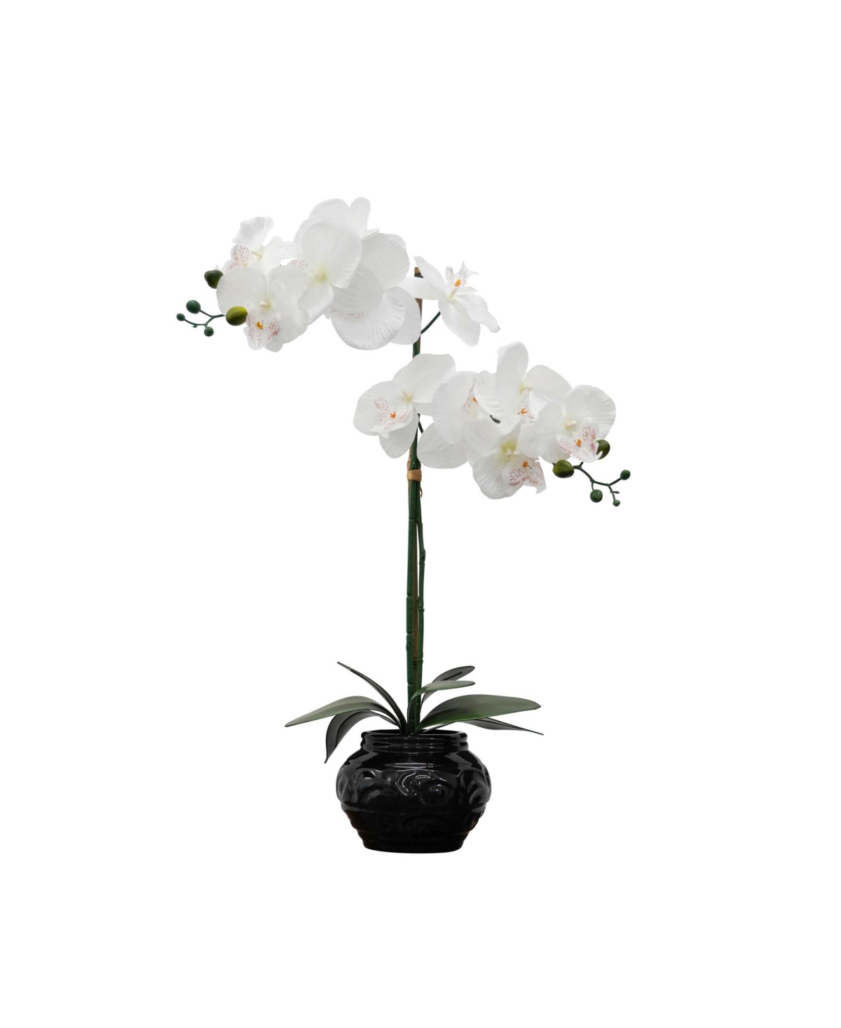 Desktop Artificial Orchid Arrangement in Ceramic, 22" - Black