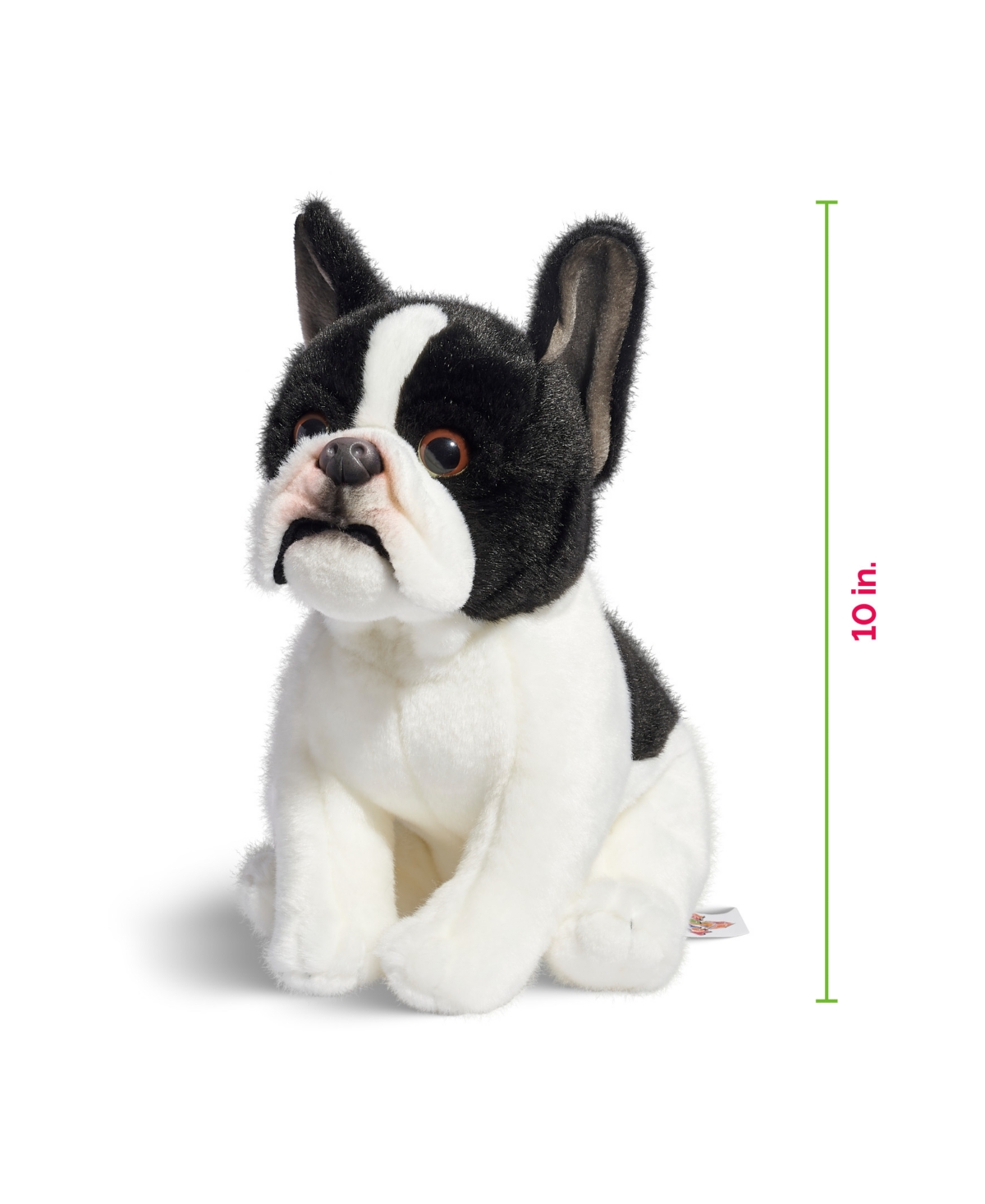 Shop Geoffrey's Toy Box 10" French Bulldog Puppy Dog Toy, Created For Macy's In Black