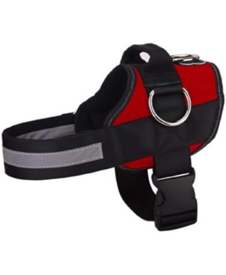 Joyride Harness