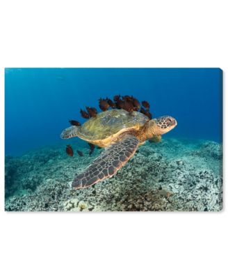 Swimming Animals Giclee Art Print on Gallery Wrap Canvas