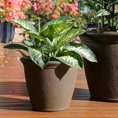 Weather-Resistant Double-Walled Anjelica Outdoor Flower Pot Planter - 15.25"