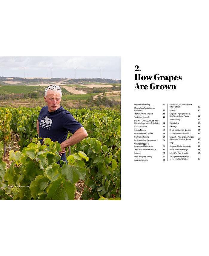 Barnes & Noble The World of Natural Wine What It Is, Who Makes It, and