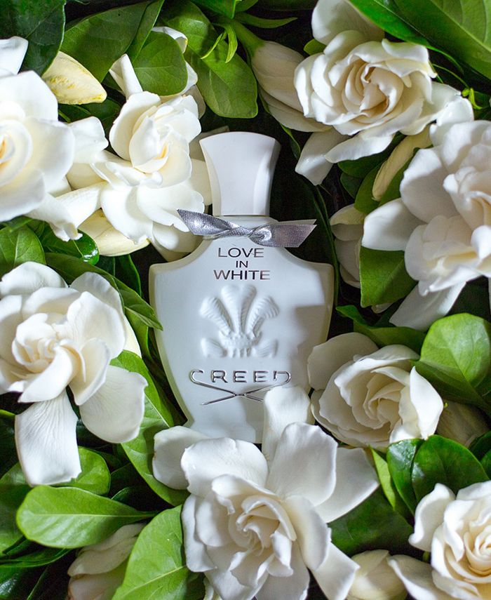 Creed white online love perfume