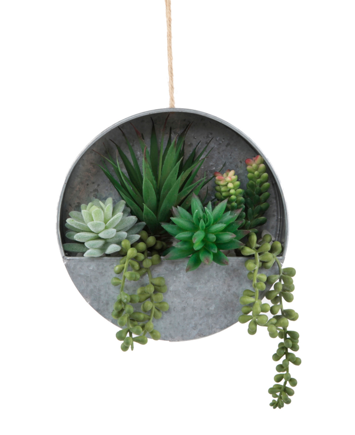 Succulent in Hanging Galvanized Tin Wall Planter, 8" - Gray, Green