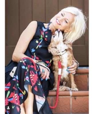 Pet Dog Collar - Hot Marine