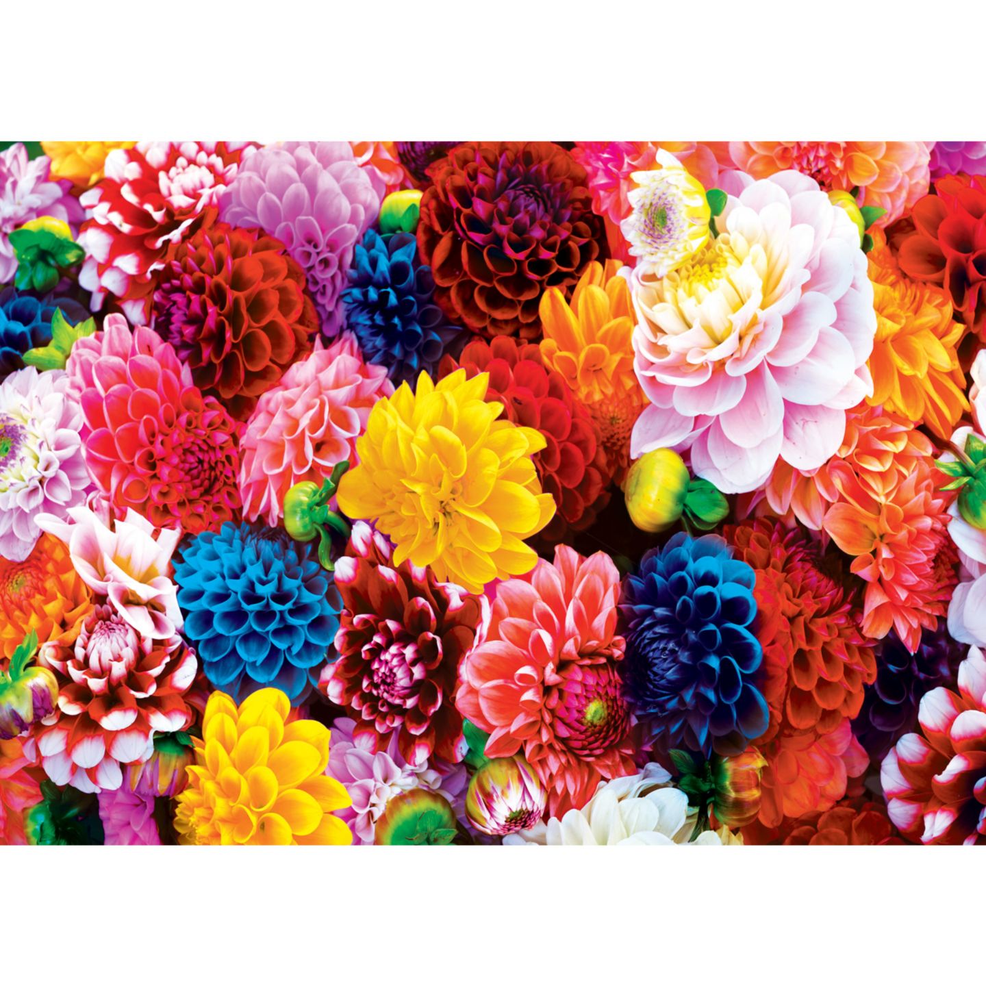 Детский пазл MasterPieces Puzzles Brilliance Beautiful Blooms Floral 550 Piece Puzzle, Ages 14+, цвет: Разноцветный — фото 2
