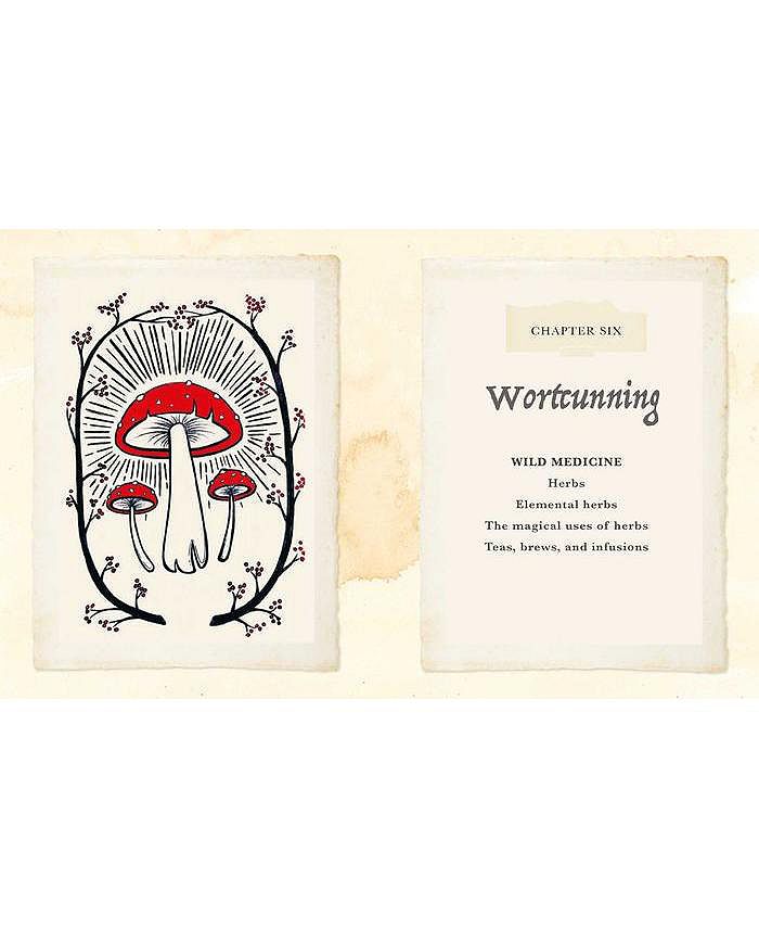 Barnes & Noble The Witch of the Woods Spells, Charms, Divination