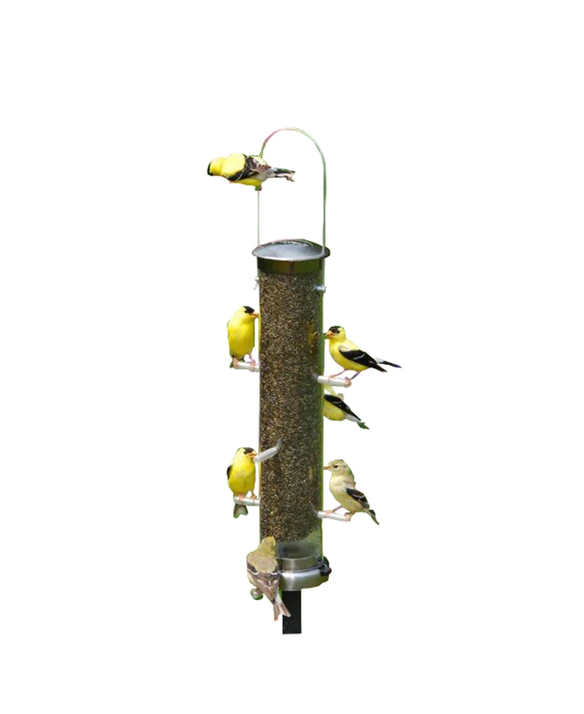 ASP400 Quick Clean Nyjer Tube Bird Feeder Brushed Nickle - Multi