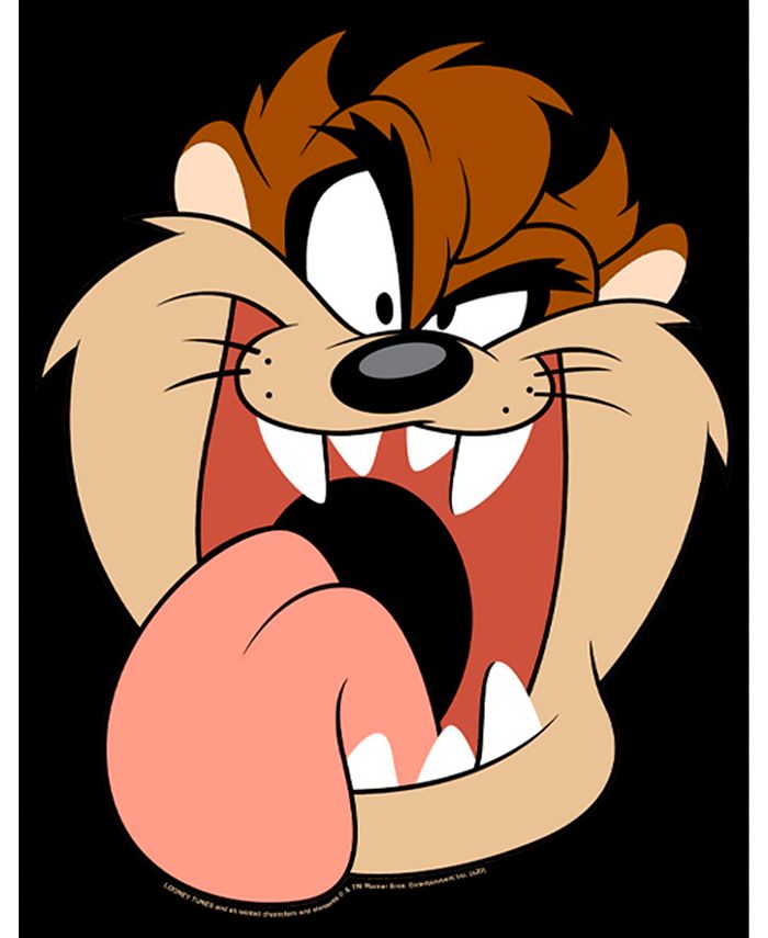 Warner Bros. Boy's Looney Tunes Tasmanian Devil Big Face Child T-Shirt ...