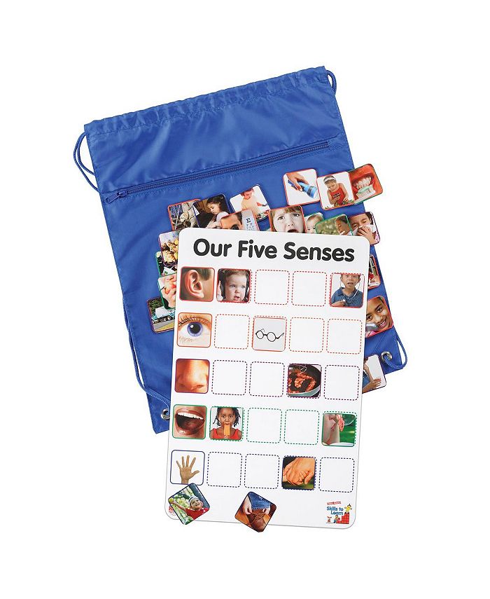 Kaplan Early Learning Company Our Five Senses Interactive Game Macy's