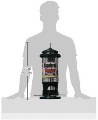 1057 Squirrel Buster Standard Wild Bird Feeder 1.3 Lb Capacity