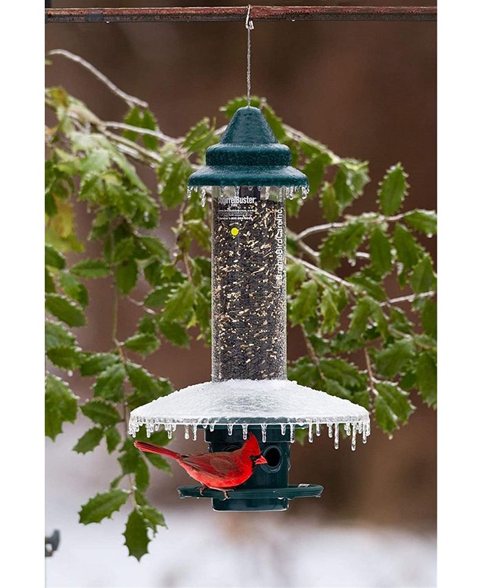 Brome Weather Guard for Squirrel Buster Plus Bird Feeder FEEDER NOT