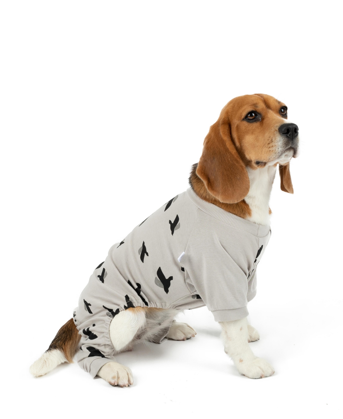 Leveret Dog Cotton Pajama Bird Gray