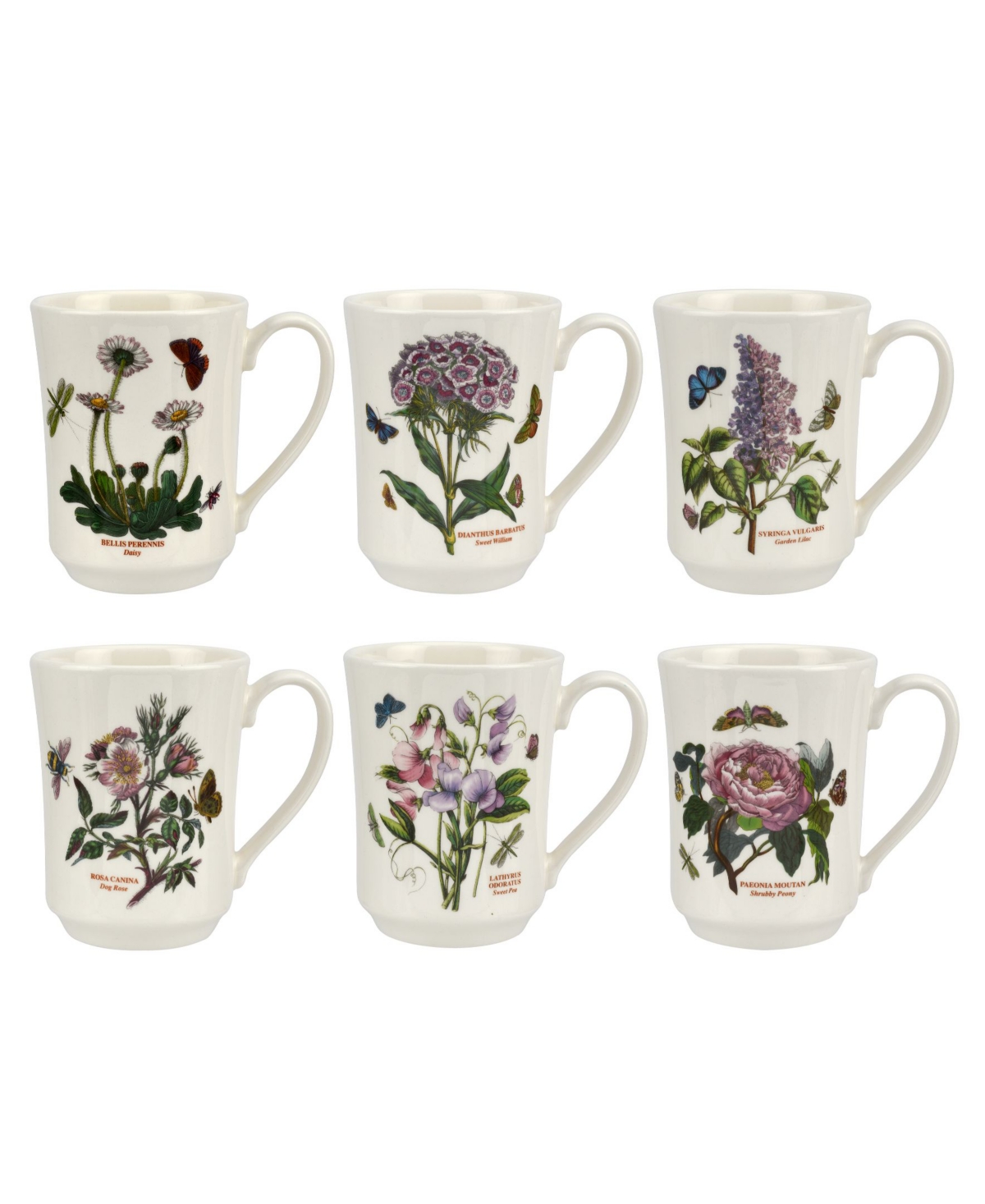 Portmeirion Botanic Garden 36 Pc. Dinnerware Set, Service for 6, Exclusively at Macy's