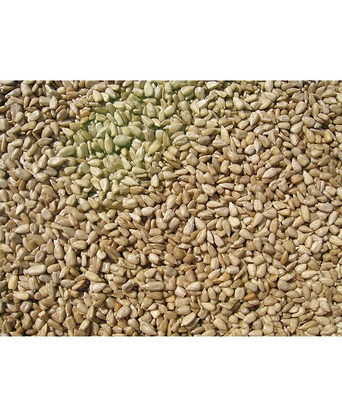 Cole's Coles SM10 Sunflower Meats Bird Seed 10Pound & Reviews Lawn