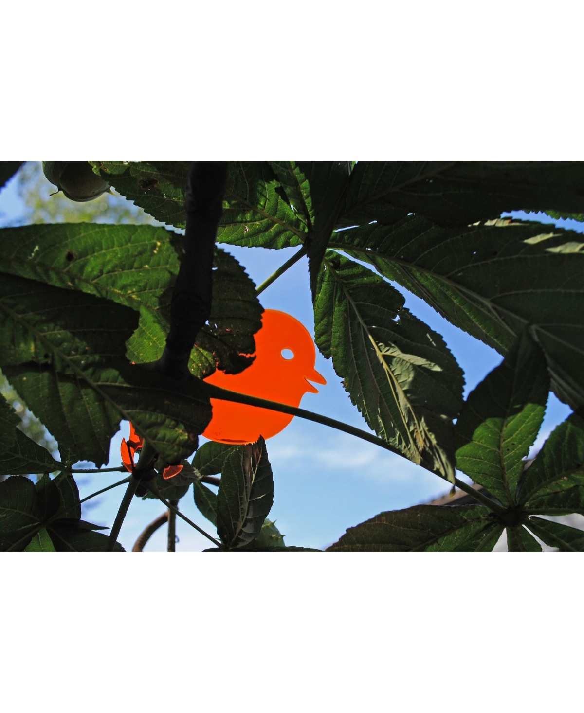 Xxd XXDs Astwart Bird Feeding Station Tree decor- Orange w Shining Edge