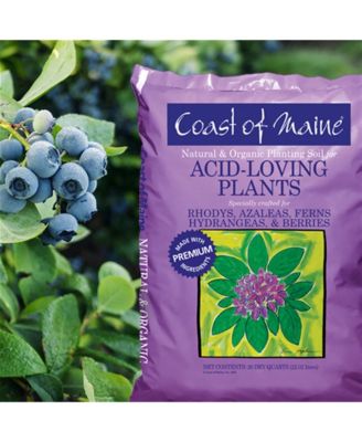 Organic Acid Loving Plants Soil 20qt.