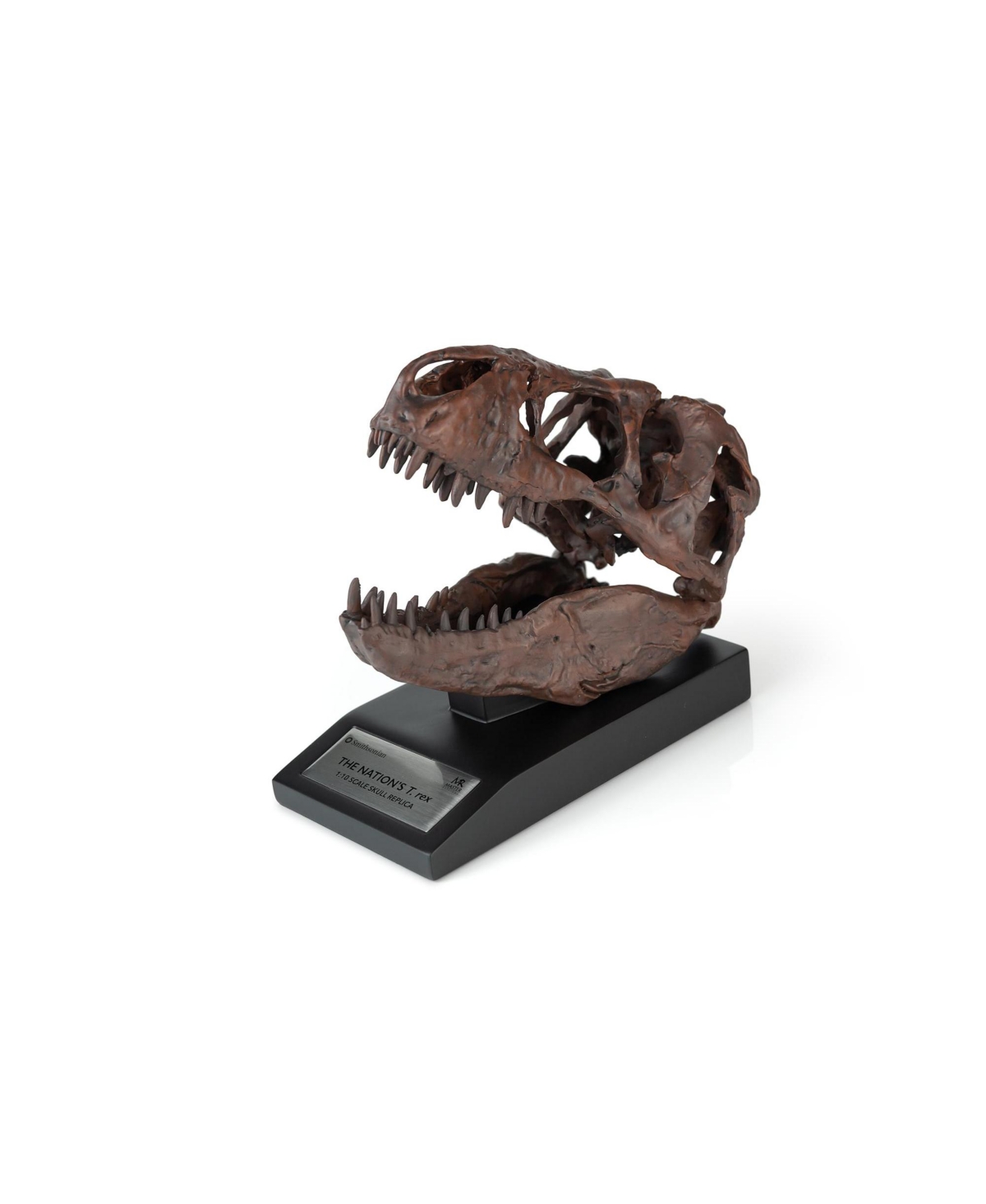 Master Replicas The Nation's T-Rex Skull Statue | Smithsonian Fossil Replica | 6-Inch Tall Tyrannosaurus Rex Desk Statue | 1:10 Scale