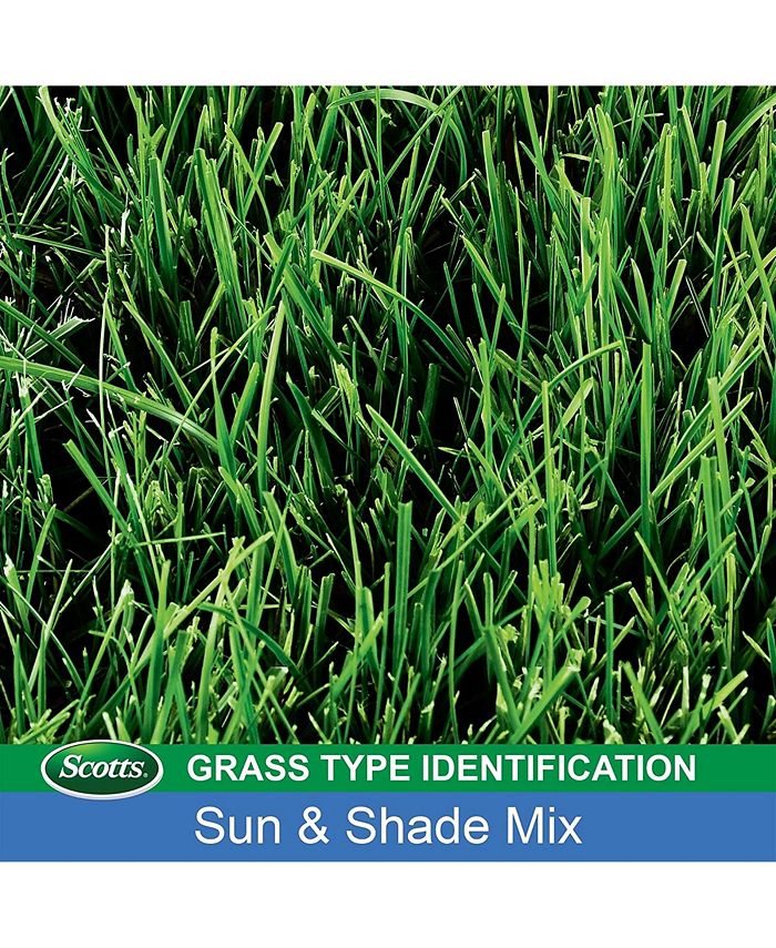 Scotts 18221 Turf Builder Grass Seed Sun and Shade Mix, 7 lb bag Macy's