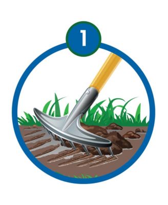 Black Beauty Biodegradable Grass Seed Roll -50 Sq Ft