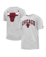 Men's Homage Ash Charlotte Hornets NBA x Rugrats Tri-Blend T-Shirt