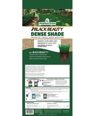 Black Beauty Dense Shade Grass Seed Mix, 3lb bag