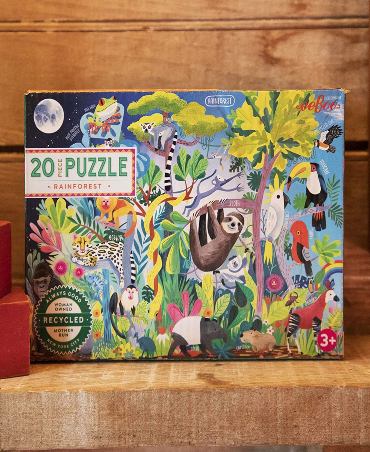 Shop Eeboo Rainforest Life 20 Piece Jigsaw Puzzle Set In Multi