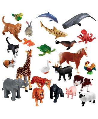 Learning Resources
