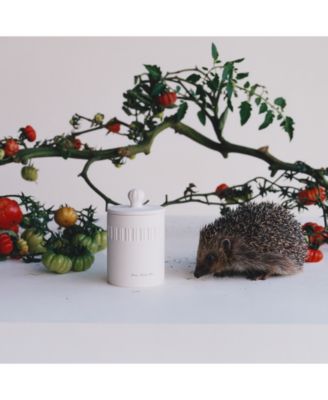 Green Tomato Vine Classic Candle, 10.6 oz.