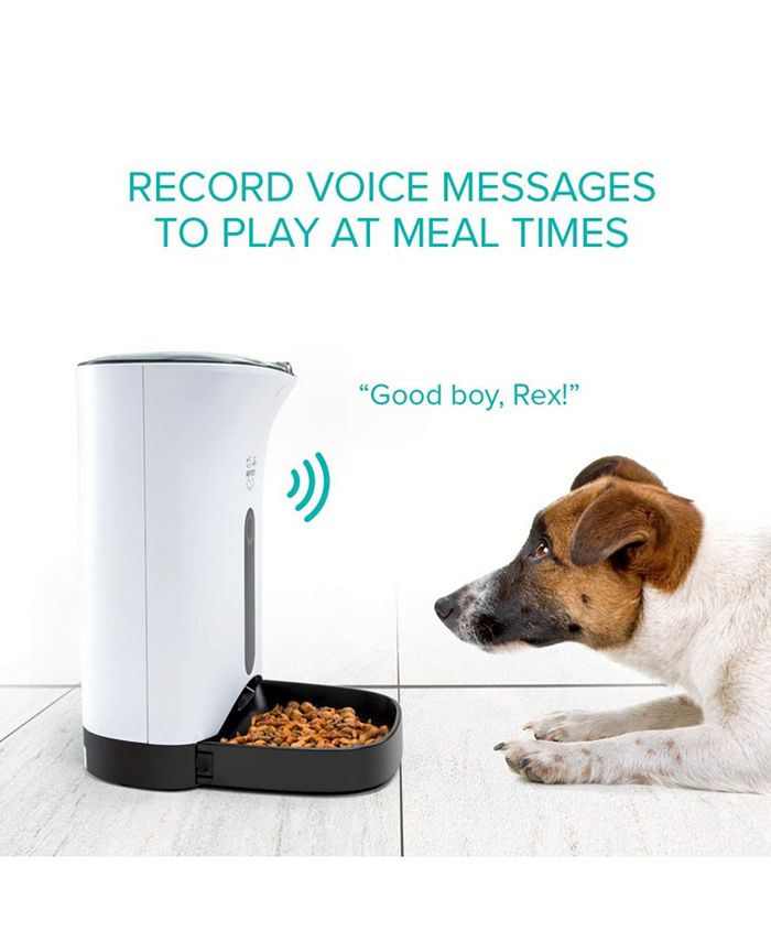 Arf Pets Automatic Pet Feeder, Food Dispenser for Dogs with Timer Macy's