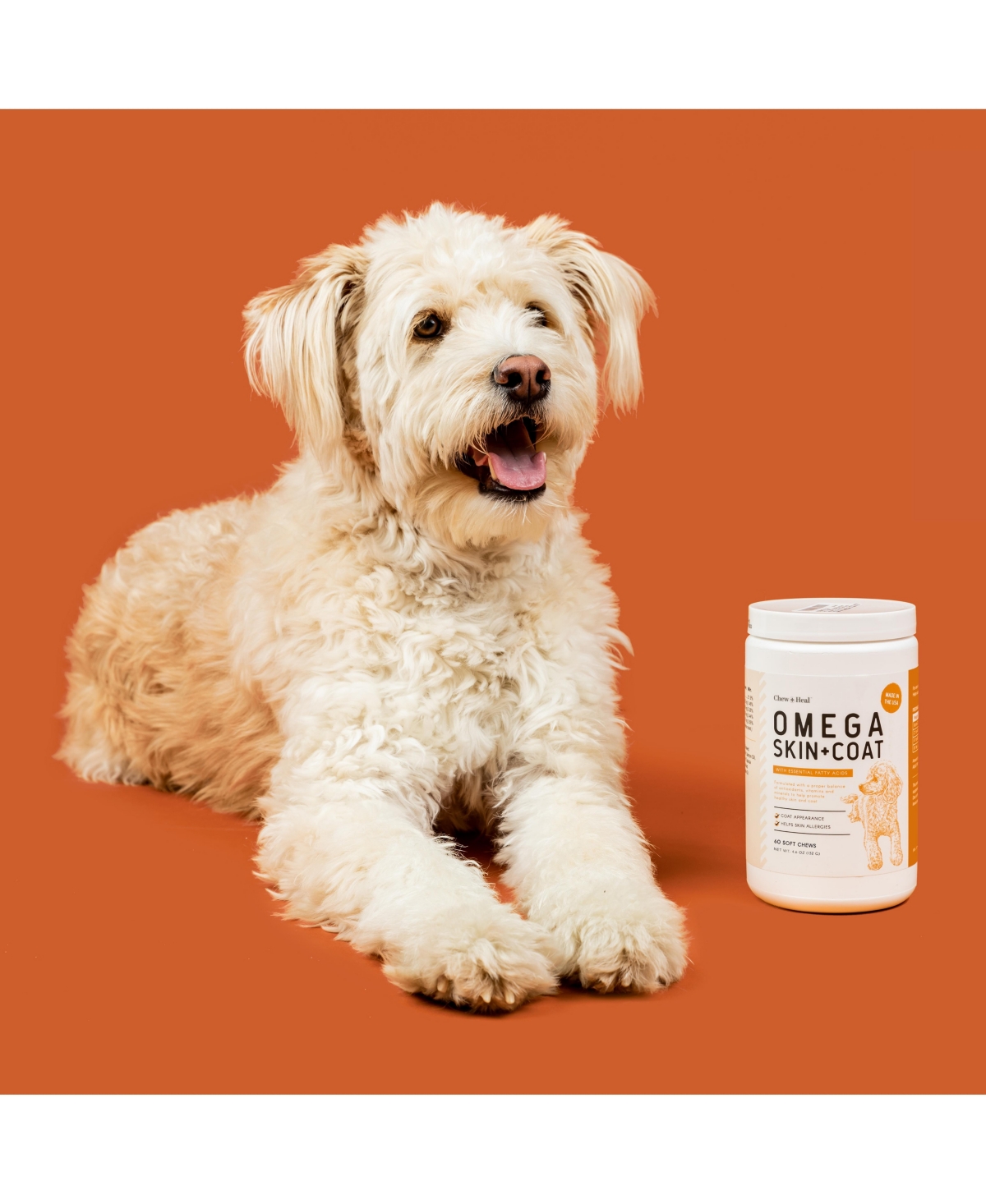 Chew + Heal MaxProtect Omega Skin + Coat, Dog Supplement & Multivitamin, Improve Joints, Digestion, Skin & Fur - Delicious Total Chews