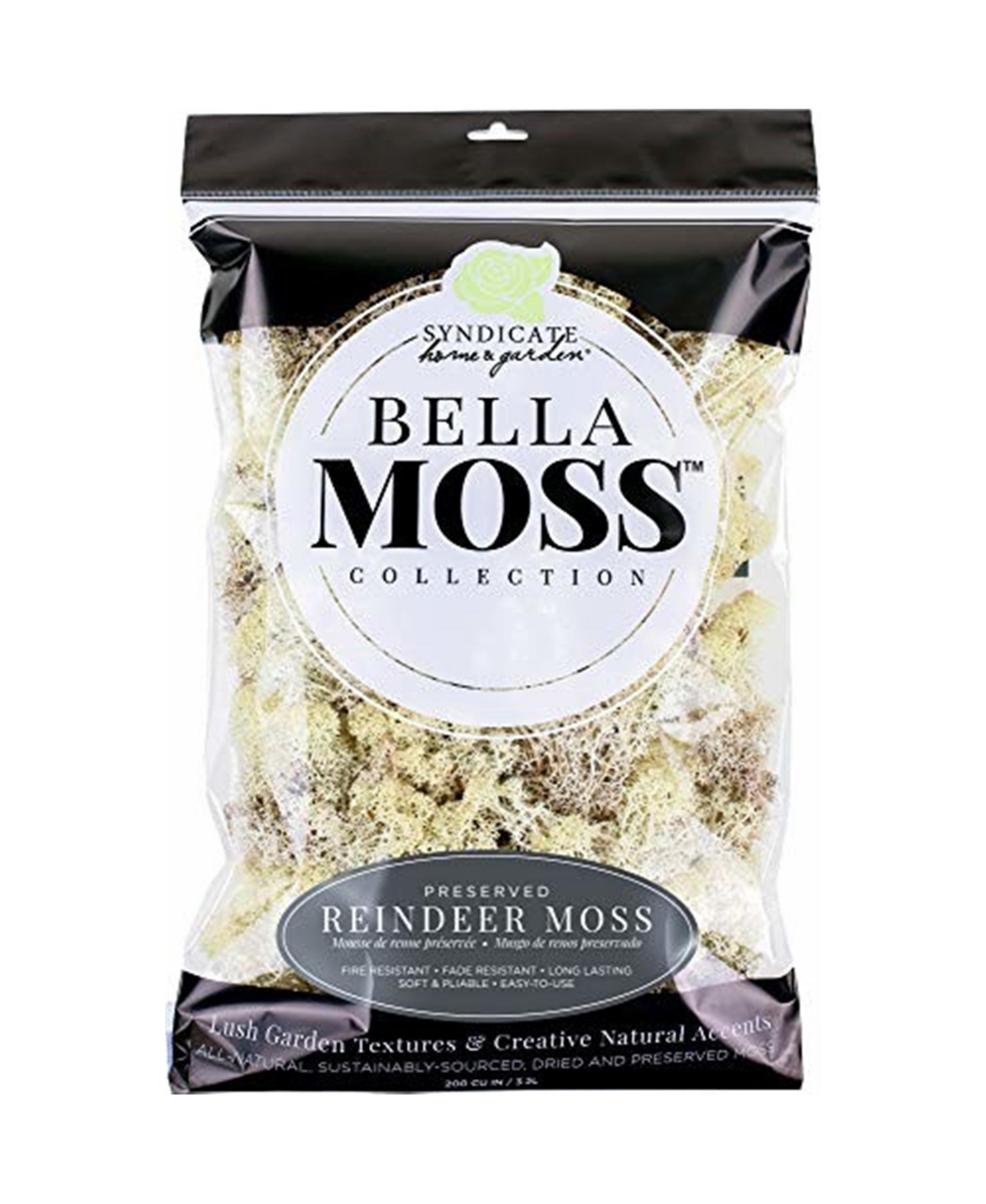 Bella Moss 1407101082 Preserved Reindeer Moss, Natural, 200 cu in