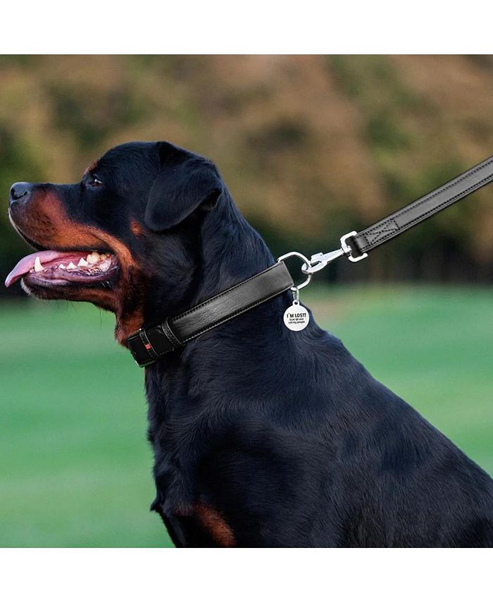 Waudog Leather Round Slip Leash W4MM- L183CM YELLOW main image 0
