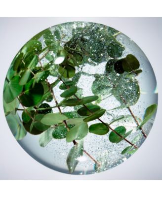 Concentrated Brightening Serum