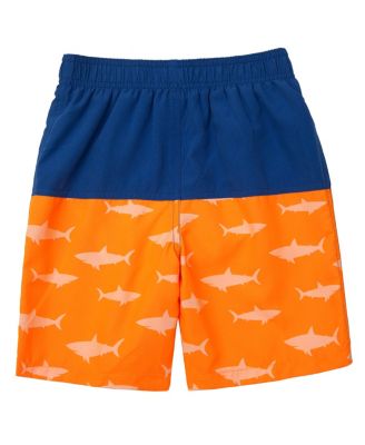 Toddler Boys Swim Trunks with Mesh Liner UPF 50+