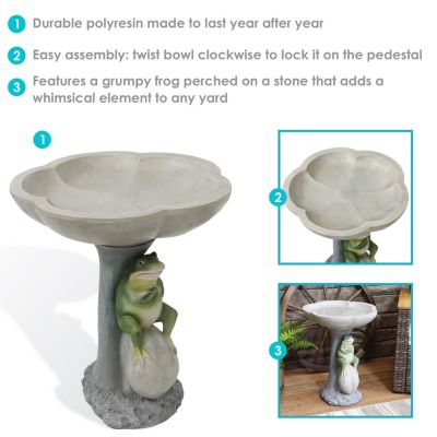 Brooding Frog on a Stone 22-Inch H Polyresin Bird Bath