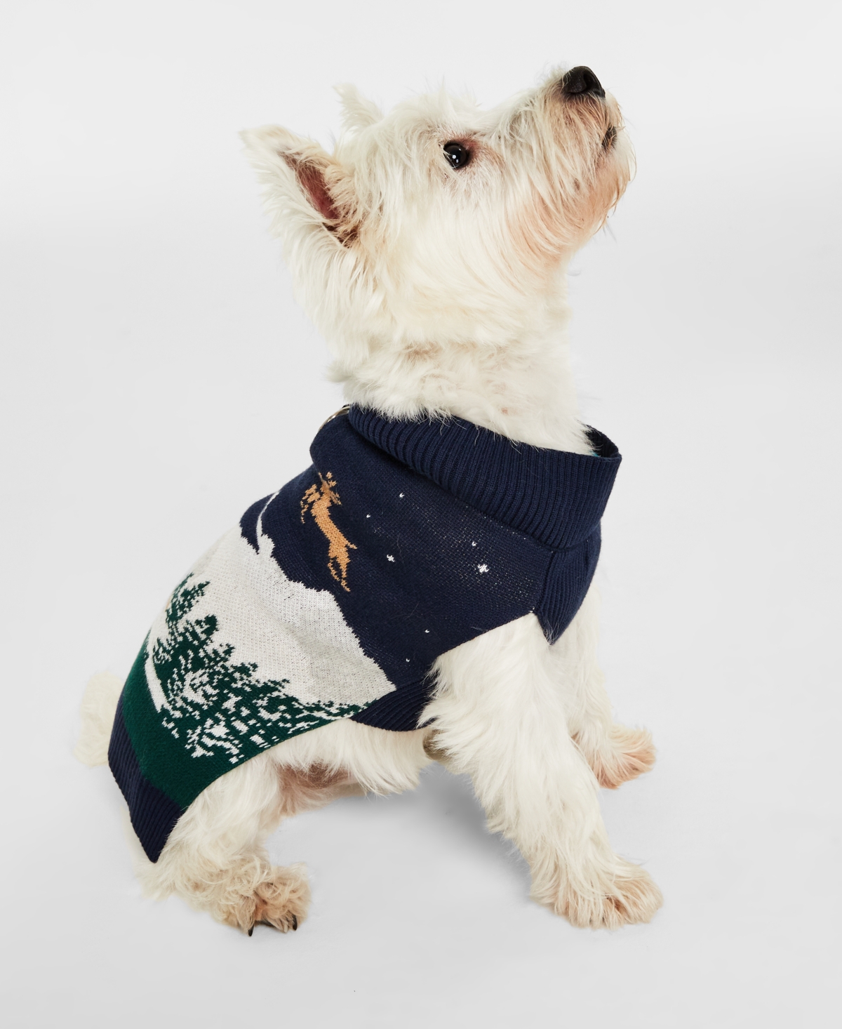 Holiday Lane Snowy Landscape Pet Sweater, Created for Macy's - Intrepid Blue Combo